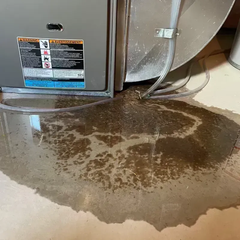 Appliance Leak Cleanup in Avenal, CA